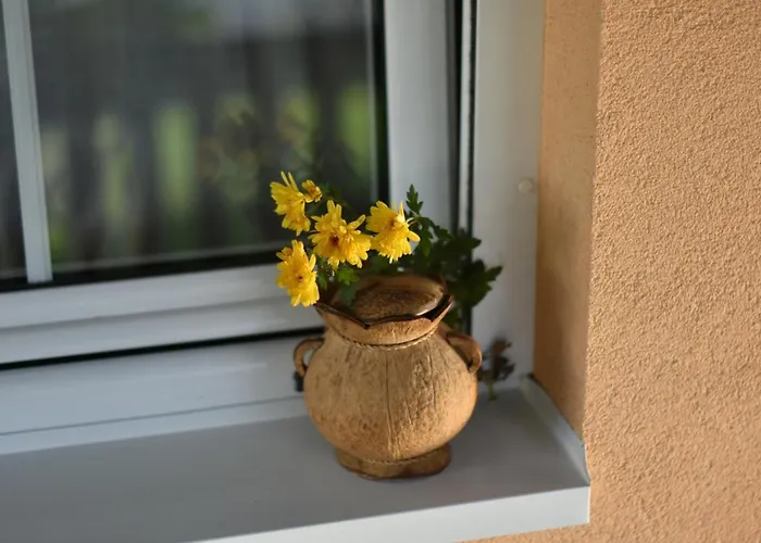 Little Nook * Čačak